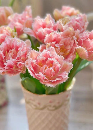 Bonsai Rare Color Tulip Seeds