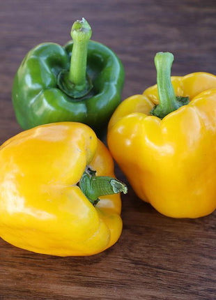 Pepper Deniro F1 Organic