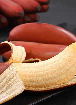 Drawf Banana Seeds
