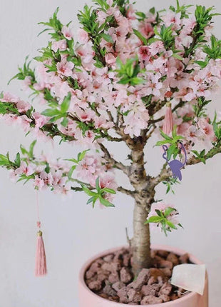 Peach Blossom Bonsai Houseplant Seeds