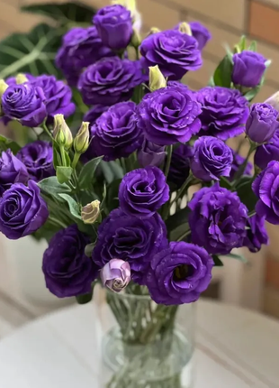 💐Lisianthus - A Sincere and Immutable Love