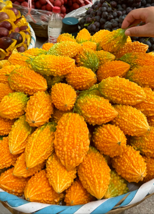 Lai Grape Seeds for Garden Bitter Gourd Seeds