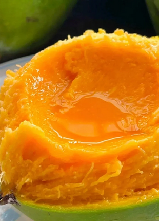 Super Sweet 🥭 Organic Giant Mango Seeds