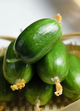 Thumb Cucumber-Golden Boy Lady Cucumber