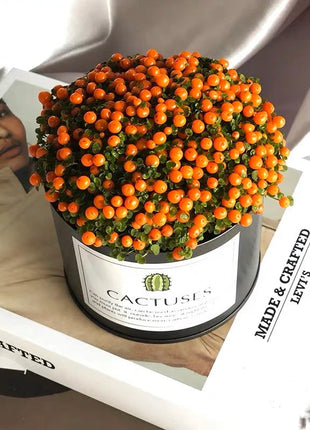 Pearl Orange Succulent Potted Plant