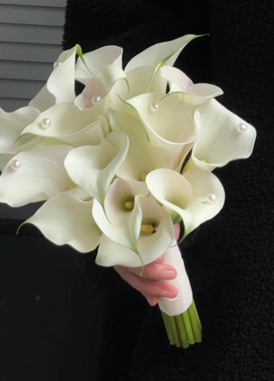 Calla Lily Seeds - Mixed - Beautiful Flowers Planting