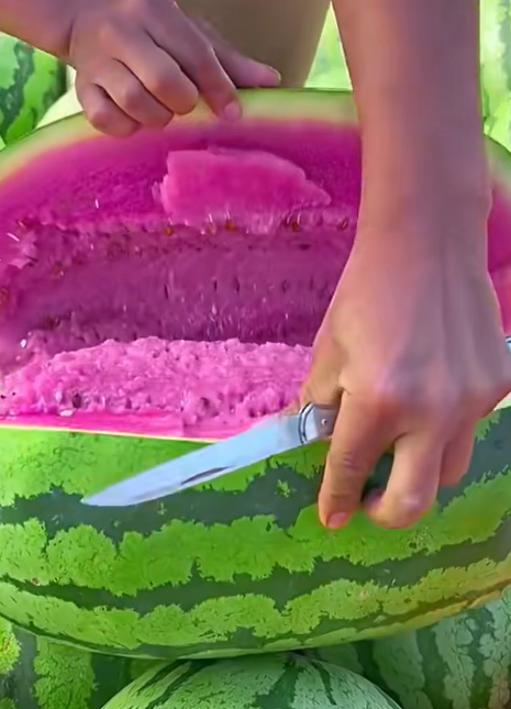 Pink Mist Watermelon Seeds🍉✨