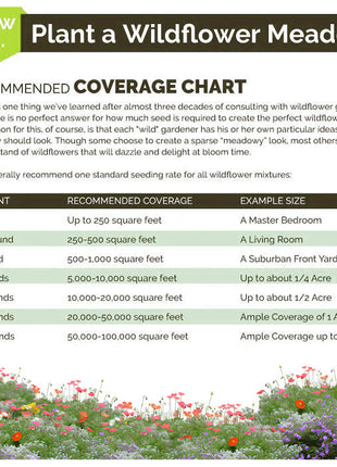 First Year Flowering Perennial Wildflower Seed Mix