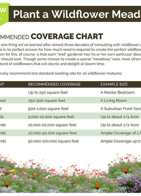 First Year Flowering Perennial Wildflower Seed Mix