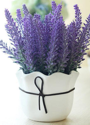 200Pcs Provence Lavender Seeds Fragrant Organic Flower Seeds Home Garden Bonsai Plant