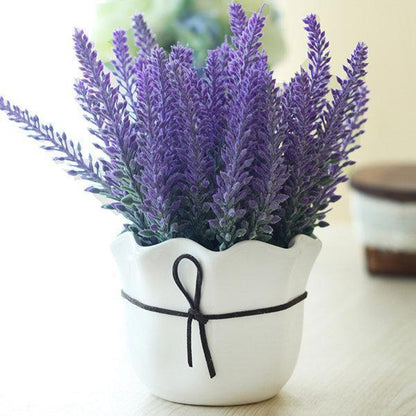 200Pcs Provence Lavender Seeds Fragrant Organic Flower Seeds Home Garden Bonsai Plant