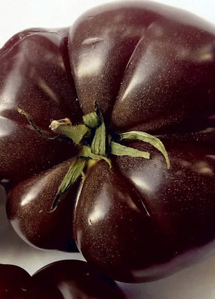 Multicolor Tomato Seeds-No Gmo