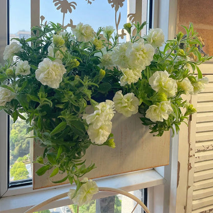 Summer Double Petunia Elizabeth