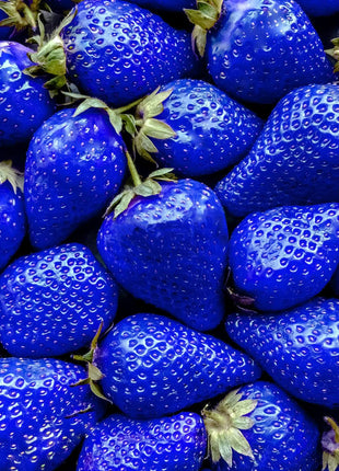 800+ Mix Strawberry Seeds for Planting - Heirloom Non-GMO Red Yellow Blue White Climbing Strawberry
