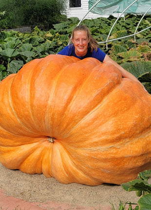 Giant Organic Crop Seeds