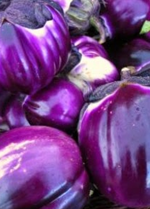 Barbarella Purple Eggplant Vegetable Seeds