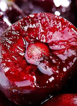 🍒Rainier Cherry Fruit Seeds(🌿99% Germination)