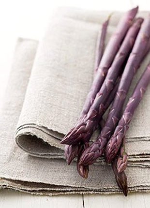 Purple Passion Seeds