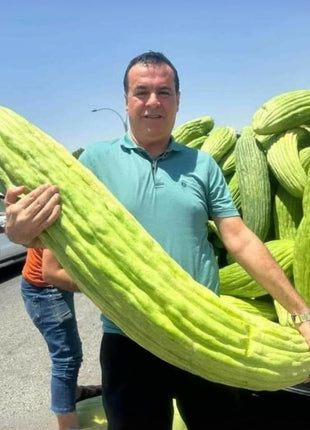 🔥 Organic giant fruits and vegetables