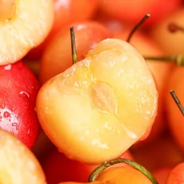 🍒Rainier Cherry Fruit Seeds(🌿99% Germination)