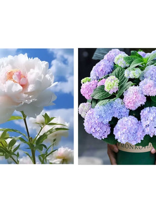 🔥LAST DAY 45% OFF🌺THE QUEEN OF FLOWERS—DOUBLE PETALED PIANI