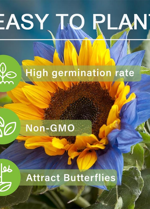 🌻50+ Mixed Color Sunflowers