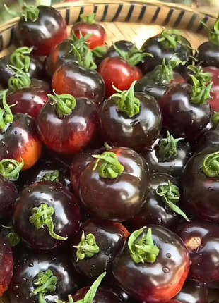 Black Pearl Tomato Seeds