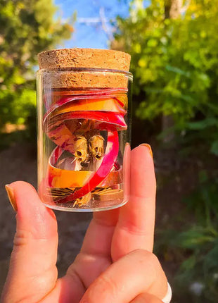 Snapdragon's Skull Flower Custom Mix Seeds