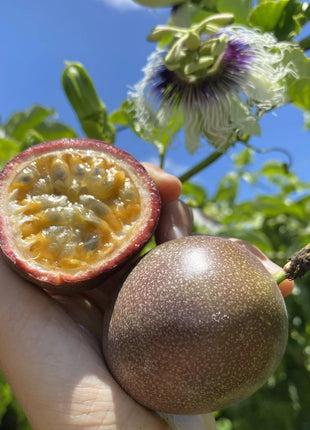 Passion Fruit Seeds
