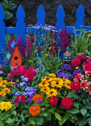 💐Multiple Flower Seeds