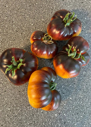 Lucid Gem Tomato Seeds Organic, Heirloom Tomatoes