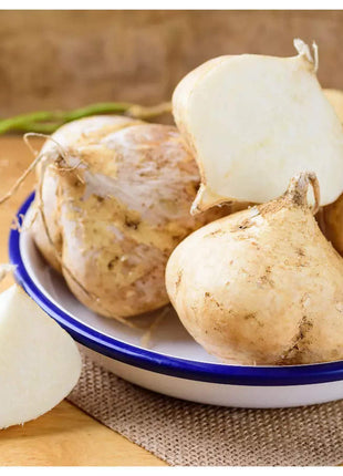 Jicama Pachyrhizus Erosus Seeds