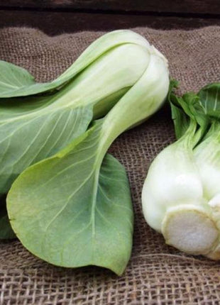 All year round 200pcs Chinese cabbage seeds