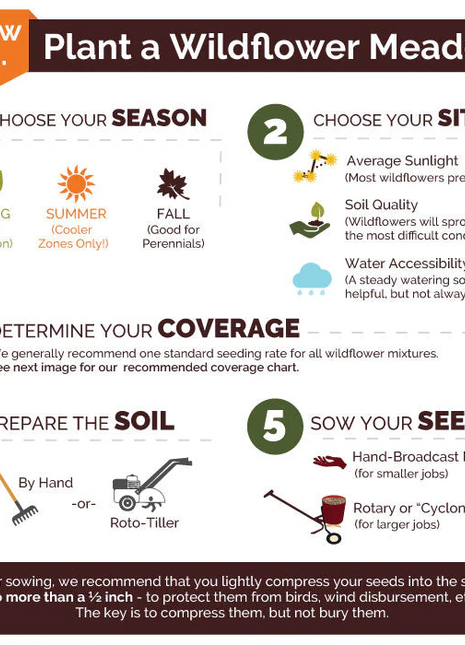 Deer Resistant Seed Mix