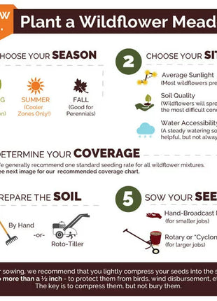 Country Garden Flower Mixed Seeds for Planting