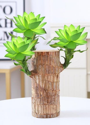 Brazilian Lucky Wood Set – Includes Tree, Tray & Mystery Doll for Fortune & Desktop Décor