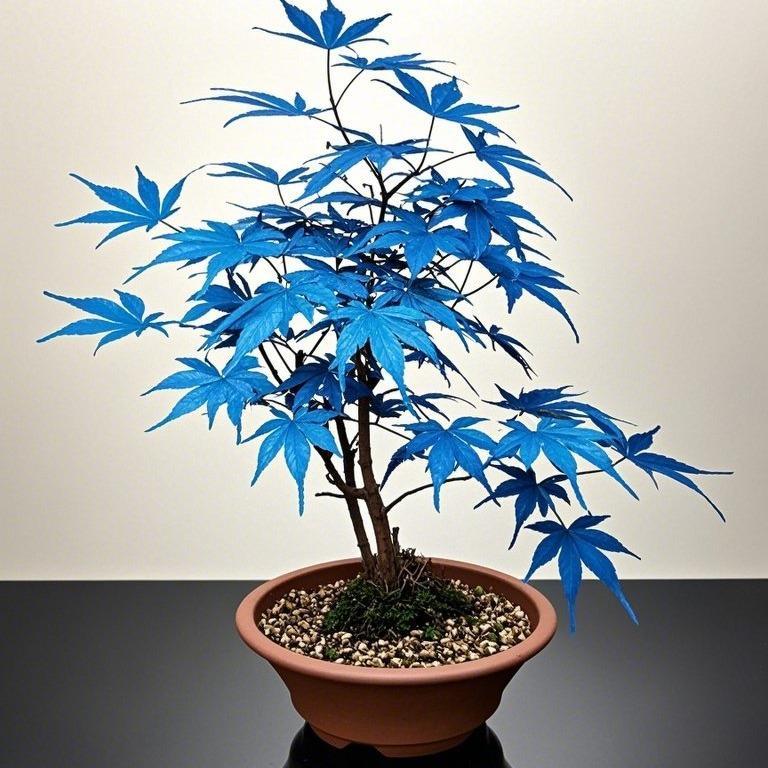10pcs Blue Ghost Maple Tree Seeds – Exotic Japanese Acer with Misty Foliage, Perfect for Pots & Landscapes