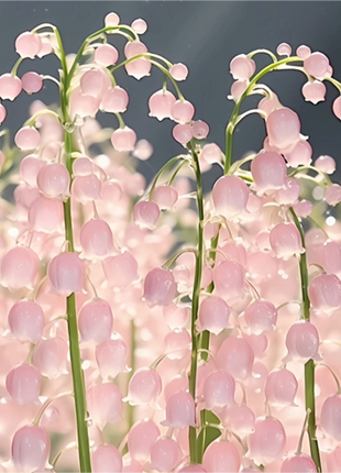 Lily of the Valley Seeds
