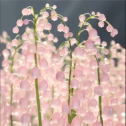 Lily of the Valley Seeds