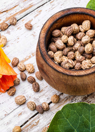 Nasturtium Seeds (Tall) - Mixed Colors