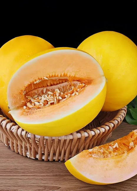 🍈Yellow River Honey Melon