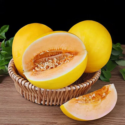 🍈Yellow River Honey Melon