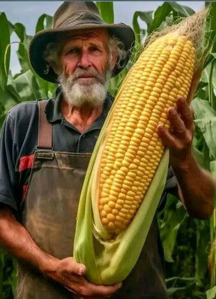 🔥 Organic giant fruits and vegetables