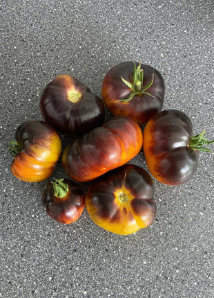 Lucid Gem Tomato Seeds Organic, Heirloom Tomatoes