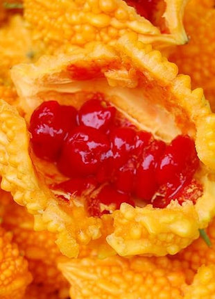 Lai Grape Seeds for Garden Bitter Gourd Seeds