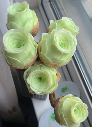 Mountain Rose Succulent Plant