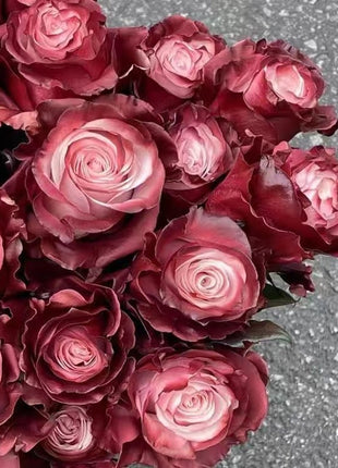 Garden of Dreams with Rare Color Varieties of Rose Seeds