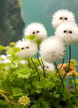 White cat's eye ball flower