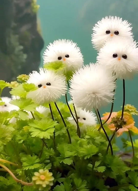 White cat's eye ball flower