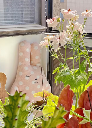 Rare Varieties Butterfly Ranunculus Asiaticus Flower Seeds